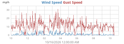 yearwind